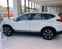 Honda CR V   2019 - Bán xe Honda CR V sản xuất năm 2019, màu trắng, xe nhập