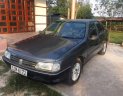 Peugeot 405 1988 - Bán Peugeot 405 sản xuất 1988, màu xám, xe nhập, giá chỉ 25 triệu