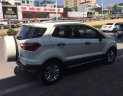 Ford EcoSport Titanium 2015 - Bán Ford EcoSport 2015 AT bản Titanium