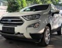 Ford EcoSport 2019 - Bán Ford EcoSport sản xuất năm 2019, màu trắng, nhập khẩu 