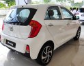 Kia Morning AT  2019 - Kia Morning - giảm giá trực tiếp + tặng bảo hiểm xe + tặng phụ kiện - liên hệ PKD Kia Thảo Điền 0961.563.593