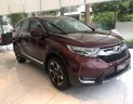 Honda CR V   L  2019 - Bán Honda CR V L năm sản xuất 2019, nhập khẩu, xe giao ngay đủ màu sắc