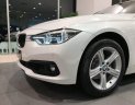 BMW 3 Series  320i 2018 - Bán xe BMW 3 Series 320i năm 2018, màu trắng, xe nhập