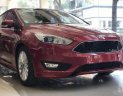 Ford Focus 2019 - Cần bán Ford Focus năm 2019, màu đỏ