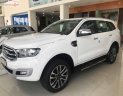 Ford Everest 2019 - Bán xe Ford Everest năm sản xuất 2019, màu trắng, nhập khẩu nguyên chiếc