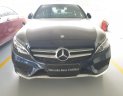 Mercedes-Benz C class C300 AMG 2019 - Mercedes C300 AMG đời 2017, màu xanh, hỗ trợ ngân hàng 70%, nhiều ưu đãi