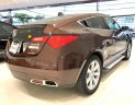 Acura ZDX SH-AWD 2009 - Bán Acura ZDX SH-AWD sản xuất 2009, màu nâu, nhập khẩu