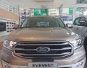 Ford Everest   2019 - Bán Ford Everest năm sản xuất 2019, nhập khẩu, giá cạnh tranh