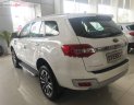 Ford Everest 2019 - Bán xe Ford Everest năm sản xuất 2019, màu trắng, nhập khẩu nguyên chiếc