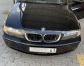 BMW 3 Series 318i 2003 - Bán BMW 3 Series 2003, màu đen, nhập khẩu