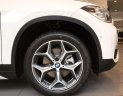 BMW X1 18i 2019 - Bán BMW X1 18i 2019 nhập khẩu, hỗ trợ 50% lệ phí trước bạ, có xe giao ngay - Hotline PKD 0908 526 727