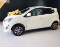 Toyota Wigo 1.2G MT 2019 - Bán Toyota Wigo 1.2G MT năm 2019, màu trắng, nhập khẩu