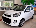 Kia Morning Standard 2019 - Kia Cần Thơ bán kia Morning Standard 2019, số tự động