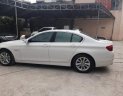 BMW 5 Series  523i 2010 - Bán BMW 523i, xe gia đình không lỗi lầm