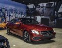 Mercedes-Benz E class   2019 - Cần bán Mercedes sản xuất 2019, màu đỏ