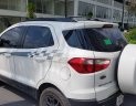 Ford EcoSport Black Edition 2017 - Bán EcoSport Black Edition 2017 - 530tr