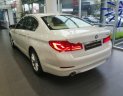 BMW 5 Series 520i 2018 - Bán xe BMW 520i năm 2018, màu trắng, xe nhập