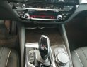 BMW 5 Series 530i Luxury Line 2018 - Bán BMW 530i Luxury Line 2018, màu đen, nhập khẩu