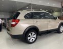 Chevrolet Captiva 2007 - Cần bán xe Chevrolet Captiva đời 2007, màu vàng