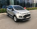 Ford EcoSport Titanium 2017 - Chính chủ bán Ford EcoSport Titanium 2017, màu xám (ghi), mới chạy 9000km