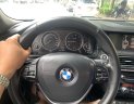 BMW 5 Series 528i 2013 - BMW 5 Series 528i model 2014 màu xám, nhập khẩu