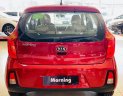 Kia Morning EX MT 2019 - Kia Moring 2019 giá tốt nhất thị trường - Đủ màu - Giao xe tận nhà - Full quà tặng