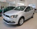 Volkswagen Polo 2018 - Cần bán Volkswagen Polo đời 2018, màu bạc, nhập khẩu 100%, xe Đức, đi rất tốt