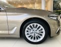BMW 5 Series 2019 - BMW 5 Series 530i - Luxury, nhập khẩu nguyên chiếc từ Đức, xe chuẩn từ Châu Âu - giảm giá mạnh