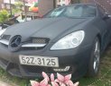 Mercedes-Benz SLK class 350 2004 - Cần bán xe Mercedes SLK 350 mui trần 2004, màu đen nhám