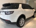 LandRover 2019 - ‎0918.842.662 bán LandRover Discovery Sport 2019 xe7 chỗ: Xám, trắng, đen, đỏ, xanh nhập khẩu Anh