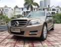 Mercedes-Benz GLK Class 300 2010 - Bán Mercedes 300 sản xuất năm 2010, màu vàng