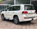 Toyota Land Cruiser VX-R 4.6 2019 - Bán Toyota Land Cruiser VX-R 4.6 2019, màu trắng, nhập Trung Đông mới 100%