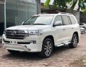 Toyota Land Cruiser VX-R 4.6 2019 - Bán Toyota Land Cruiser VX-R 4.6 2019, màu trắng, nhập Trung Đông mới 100%