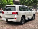 Toyota Land Cruiser VX-R 4.6 2019 - Bán Toyota Land Cruiser VX-R 4.6 2019, màu trắng, nhập Trung Đông mới 100%