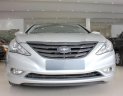 Hyundai Sonata Y20 2.0 AT 2011 - Bán Hyundai Sonata Y20 2.0 AT 2011, màu bạc, xe nhập