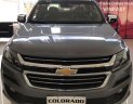 Chevrolet Colorado  2.5AT 4X4  2019 - Bán Chevrolet Colorado sản xuất 2019, màu xám, nhập khẩu