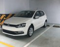 Volkswagen Polo   2017 - Bán Volkswagen Polo đời 2017, màu trắng, nhập khẩu