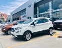 Ford EcoSport Titanium 1.5 2019 - Cần bán gấp Ecosport Titanium 1.5 màu trắng, đưa trước 1xx triệu, có sẵn giao nhanh