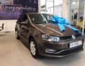 Volkswagen Polo 1.6AT 2019 - Bán Volkswagen Polo 1.6AT 2019, màu nâu, xe nhập