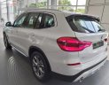 BMW X3 xDrive30i xLine 2019 - Bán BMW X3 xDrive30i xLine 2019, màu trắng, xe nhập