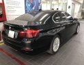 BMW 5 Series 520i 2015 - Bán BMW 5 Series 520i sản xuất 2015, màu đen, nhập khẩu