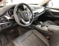 BMW X6 2019 - Bán BMW X6 35i Coupe, màu đỏ, xe nhập khẩu Đức, hầm hố, thể thao