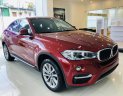 BMW X6 2019 - Bán BMW X6 35i Coupe, màu đỏ, xe nhập khẩu Đức, hầm hố, thể thao