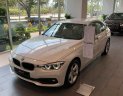 BMW 3 Series 320i 2018 - Bán BMW 3 Series 320i năm 2018, màu trắng, nhập khẩu