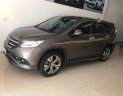 Honda CR V 2014 - Lên đời bán Honda CR V đời 2014, màu xám xe gia đình, giá chỉ 735 triệu