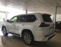 Lexus LX 2019 - Bán Lexus LX570 4 chỗ sản xuất 2019,4 ghế massage, 4 cửa hít, màu trắng, nội thất da bò, xe giao ngay