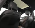 Mercedes-Benz C class C300 2017 - Mercedes Phú Mỹ Hưng cần bán C300 AMG lướt 50km, còn mới 99%, giá tốt