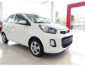 Kia Morning 2019 - Bán Kia Morning đời 2019, màu trắng rẻ nhất Hà Nội