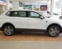 Volkswagen Tiguan Allspace Luxury 2019 - Bán Volkswagen Tiguan Allspace Luxury sản xuất năm 2019, màu trắng, nhập khẩu