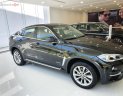 BMW X6   2019 - Cần bán BMW X6 XDrive35i đời 2019, nhập khẩu